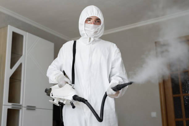 Best Mold Odor Removal Services  in , MN